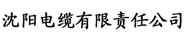 大香蕉在线视频看电缆厂logo